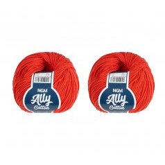 SET 2ks - Příze ALLY cotton