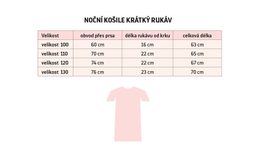 Šaty krátký rukáv